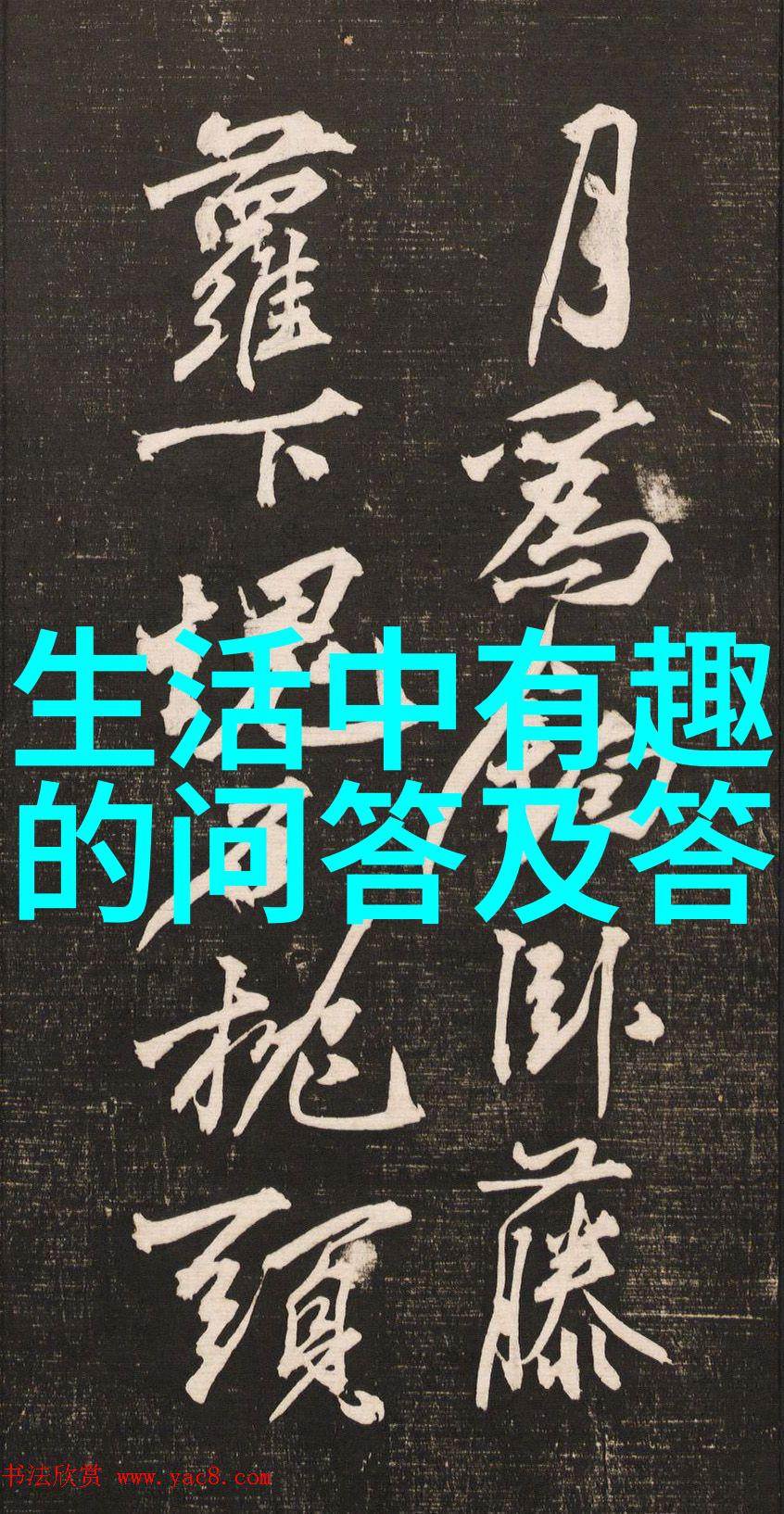蚂蚁庄园今日最新答案解锁神秘任务与奖励
