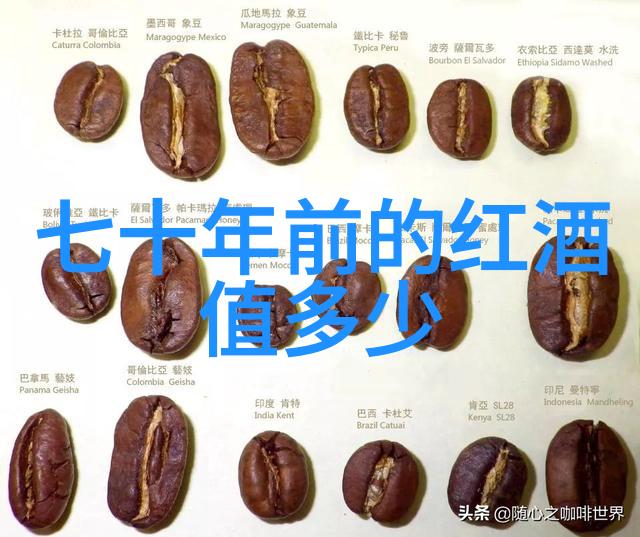 法国葡萄酒之旅醉心于千年传统的金色液体