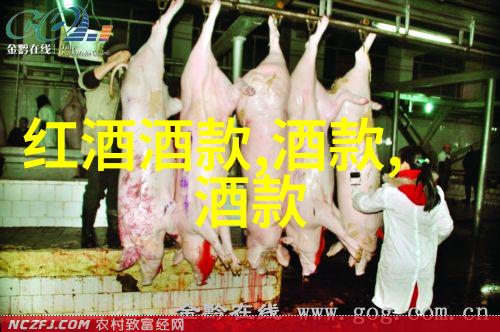 品味浓郁的地方特色上海周边2天1夜自驾游攻略