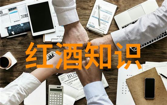 Sovi如潮水般推出了一波波不含酒精的酒瓶它们如同历史长河中的一部分等待着我们怎样查看那些沉淀在岁月