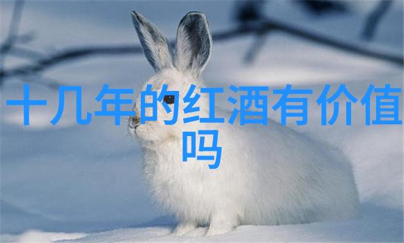 猫咪品种图片名字大全我眼中的美探秘各种猫咪的可爱瞬间