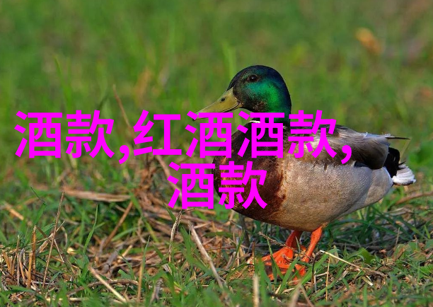 玉米的奇幻世界从玉米小魔王到甜蜜的玉米公主品种多样趣味无限