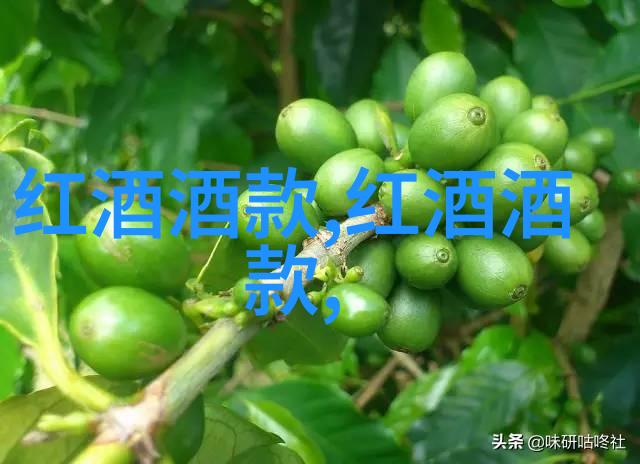宠物爱情的双刃剑娇宠成瘾背后的心理与社会影响