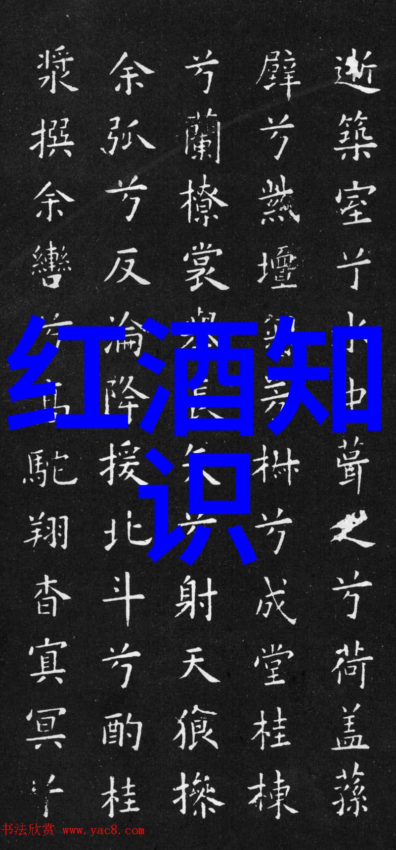 雷电将军乳液VX破解版风暴中的护肤奇迹