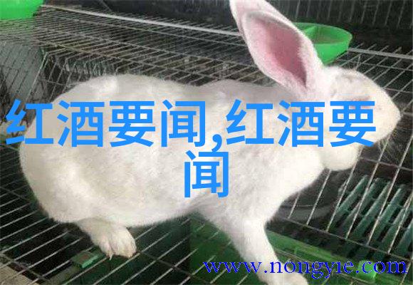 混沌调酒鸡尾酒创造者之谜