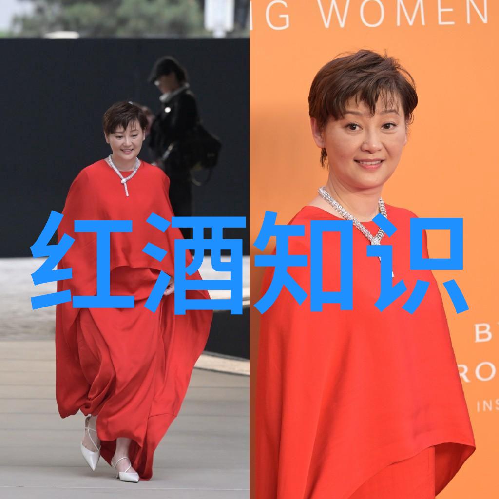 红酒庄园游览体验葡萄酒酿造的魅力