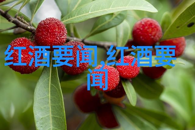 上海周边小镇探秘寻找迷人的乡村魅力