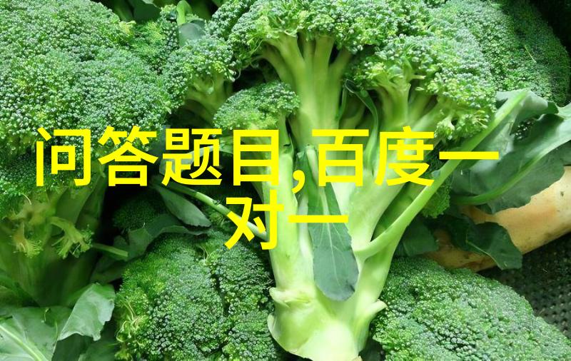 追寻纯净探索Chanson Cheval Blanc红酒的魅力