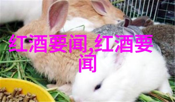 身处繁华都市如何利用短暂时间逃离喧嚣体验宁静自然之美