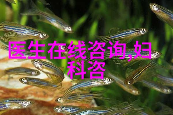 永恒的沉睡一幅立体死者的艺术探究
