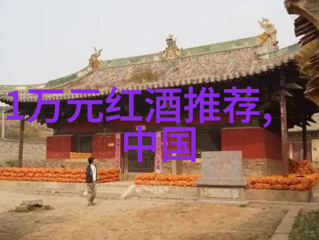 如何通过颜色和线条塑造一个优雅的人物形象