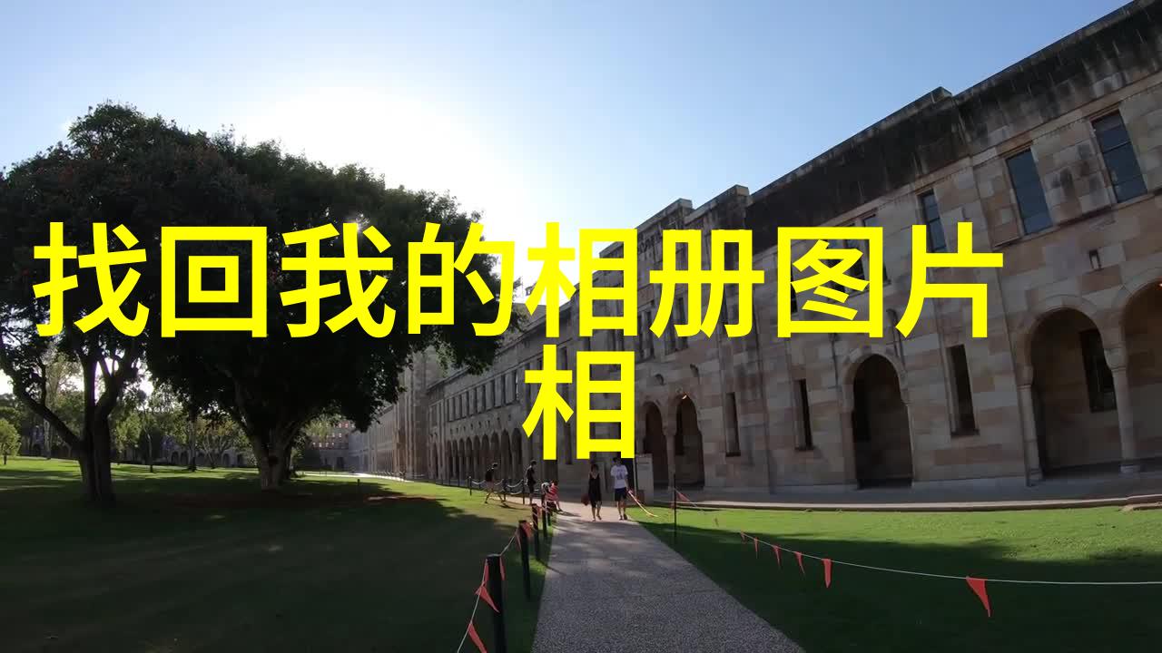 中国收藏网探秘古董宝贝的数字天堂