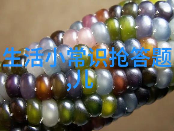 紅紫交織傳說與現實分析各種玫瑰名稱及其文化背景