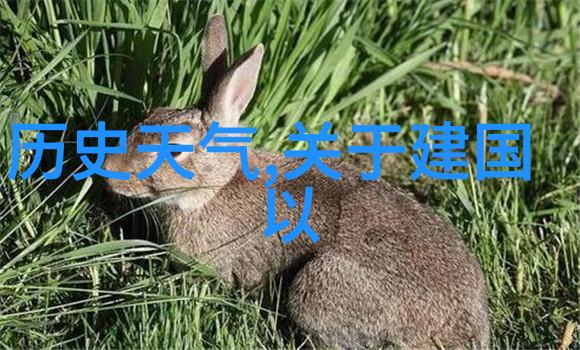 专业问答app解锁知识的新世界