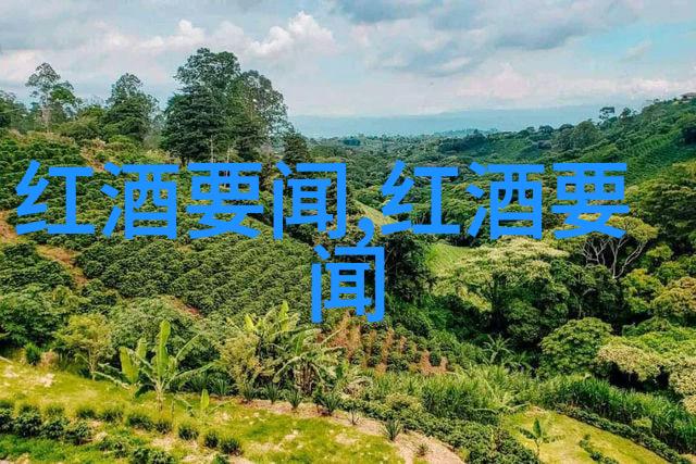 下载爱收藏如何在手机上优雅地管理你的数字藏品