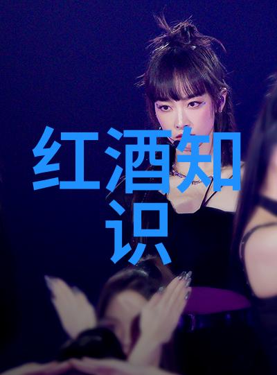 法国红葡萄酒的酒标介绍 - 醉心法国揭秘波尔多与布的酿造传奇