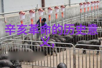 世界之巔別墅大赛评选出年度最佳最具创意和最大规模设计作品