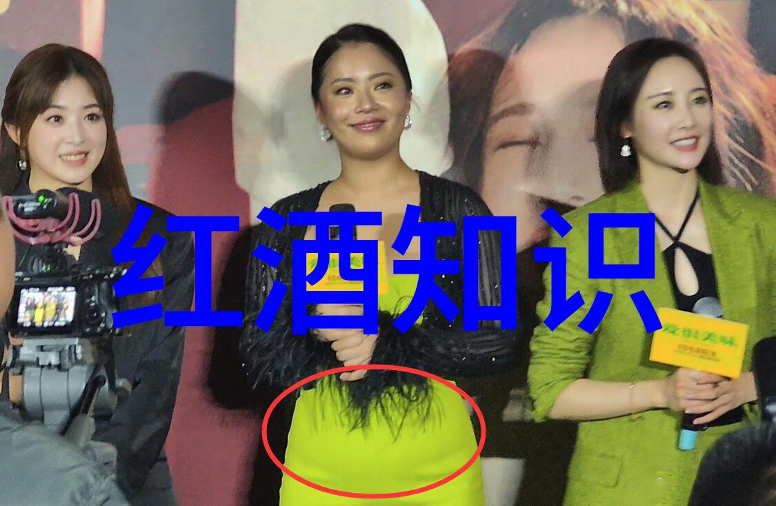 360问答电脑版全能问题解答引擎的智能助手