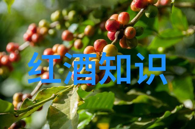 蒙哈陂新时代如何让这片土地更加可持续发展