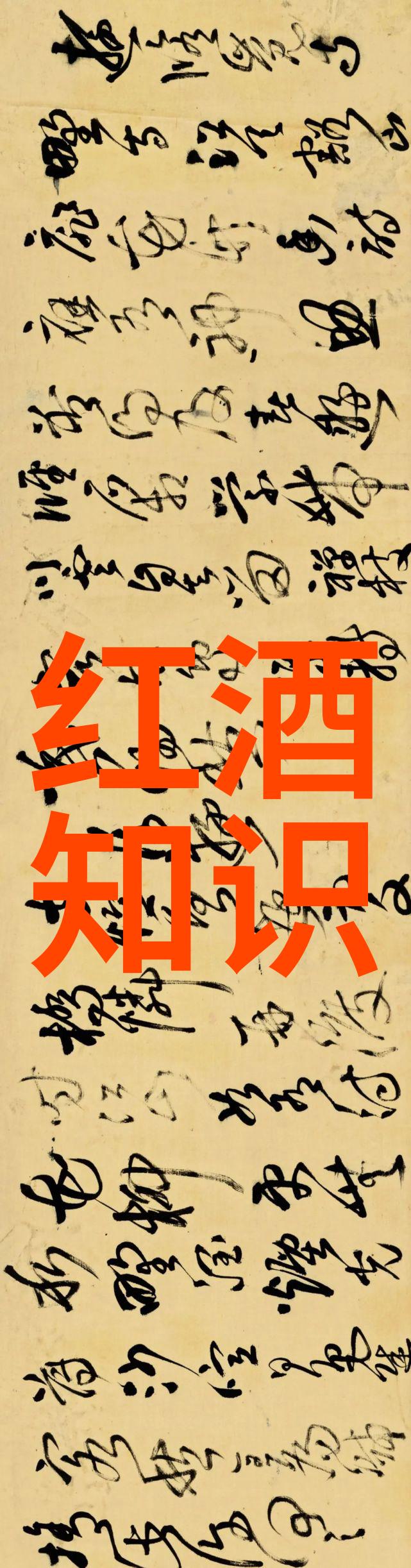 智慧的起点问答之光