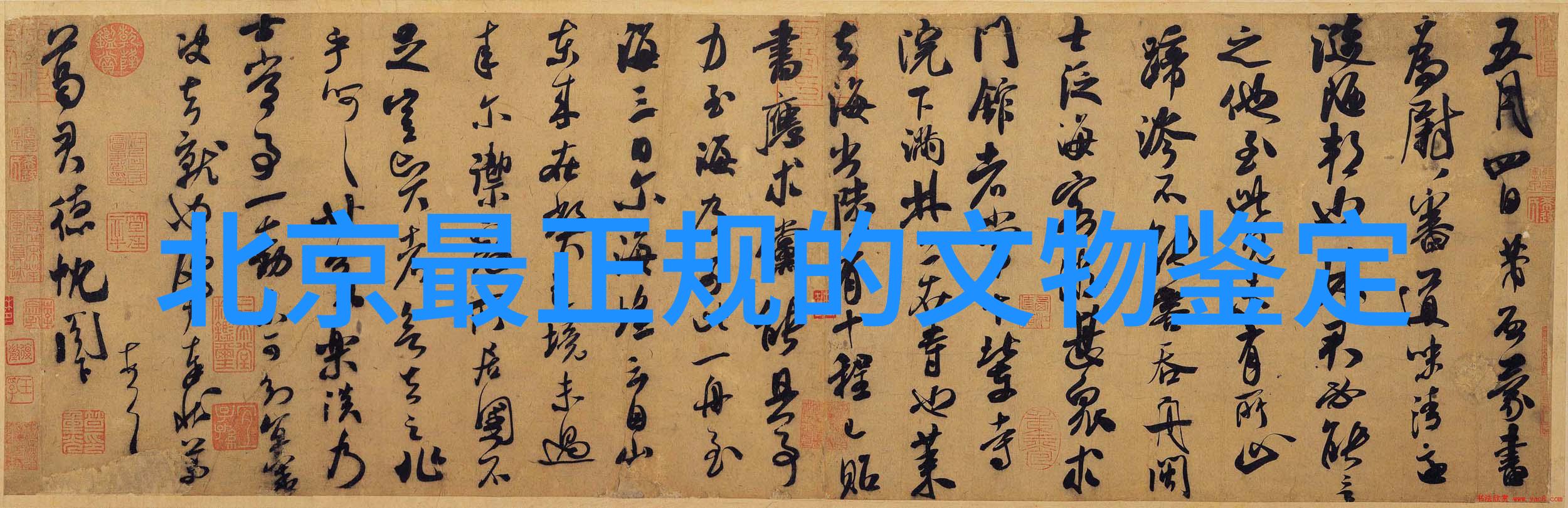 骑士的庄园守护与荣耀的土地