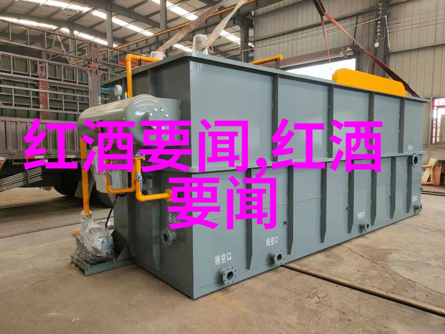 意大利葡萄酒界最有影响力的卡通奇迹第80-第76位少女画像的葡萄之星