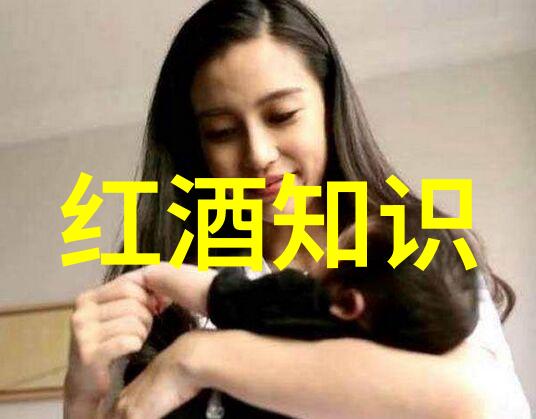 中国葡萄酒秘笈90人都错过了外行人一看就懂了