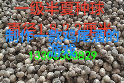 云酒窖项目解析如何实现数字化转型的酒厂