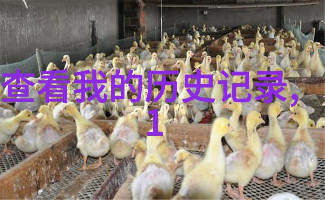 18岁女rapperdisssubs速免费的我是如何在网上找到她最火的节奏歌曲的