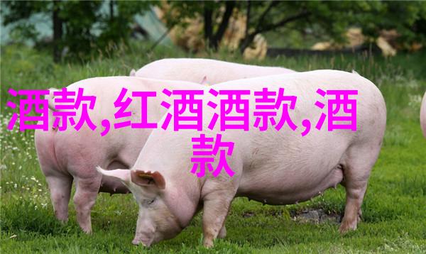 红酒爱好者我眼中的1000元左右红酒品质与价格的完美平衡