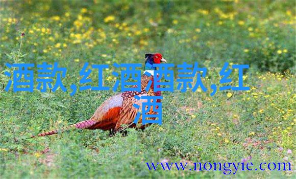 藏品的回声揭开历史的时空之门