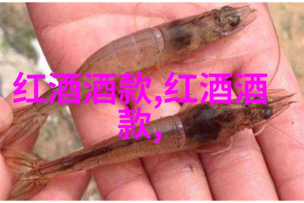 探索收藏视频的策略一种基于内容分析与用户行为的方法论