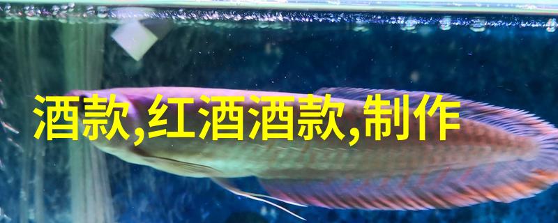 博览会上的每一枚钱都有着它独特的故事和意义