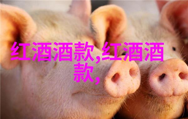 葡萄酒探秘揭秘哪个进口产区让你醉不成风