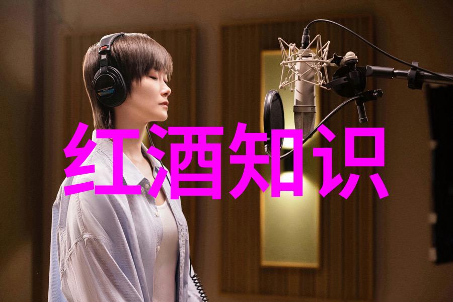 探索往昔启迪未来中学历史教学园地的魅力与挑战
