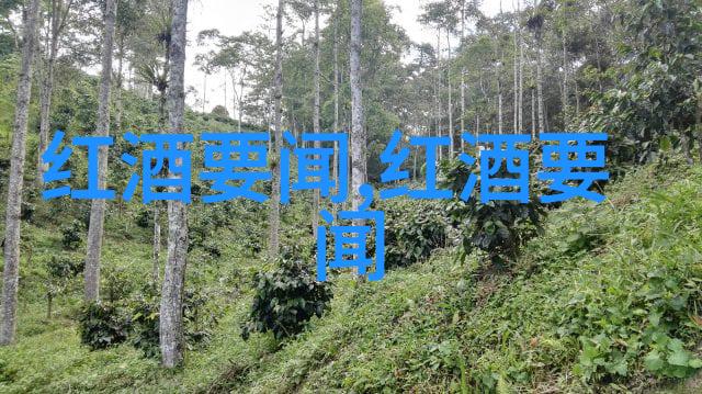 沪深300指数一手价格的变动与市场走势分析