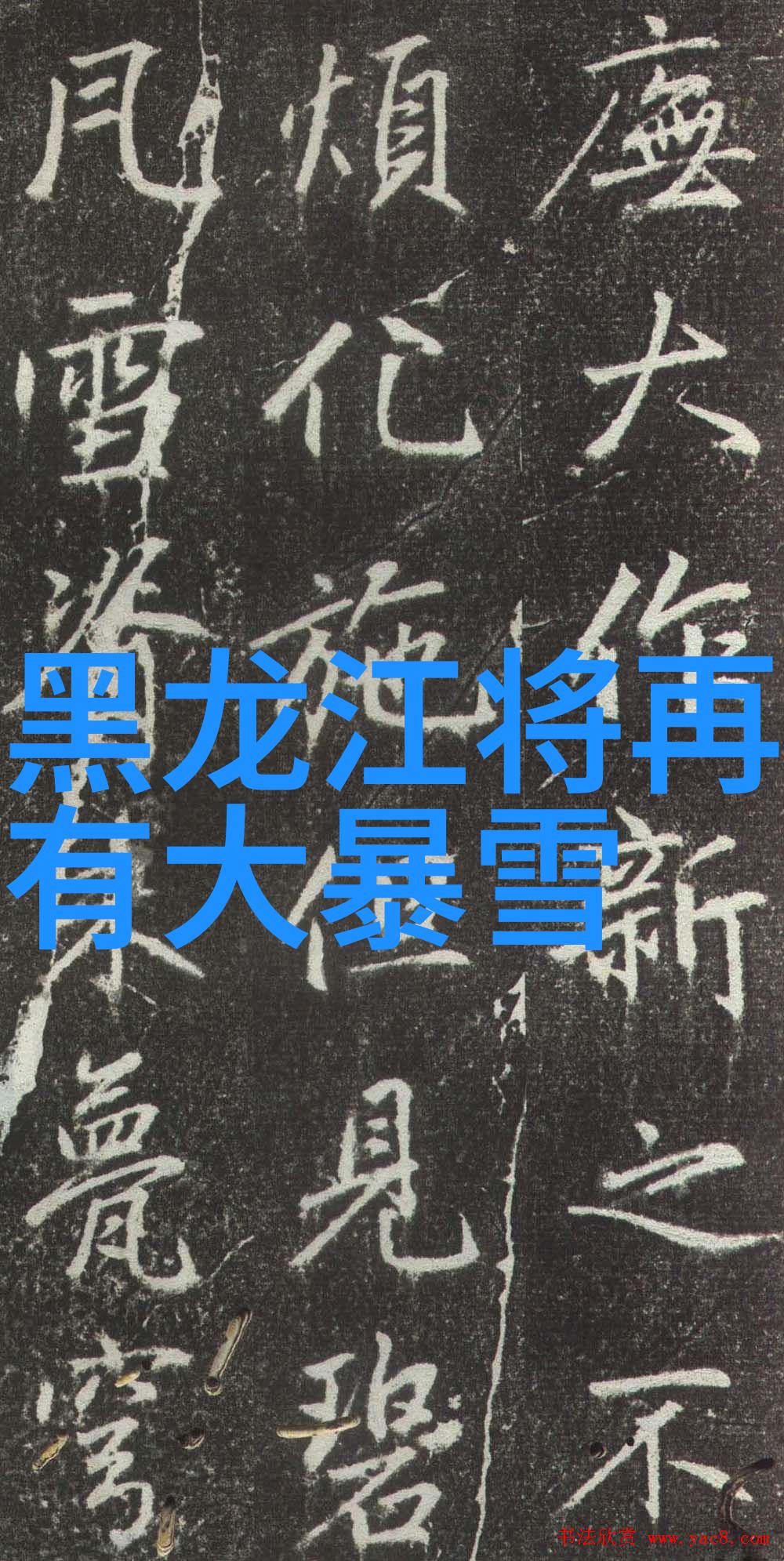 奥地利霞多丽与白比诺优雅猫种类大全图片展现