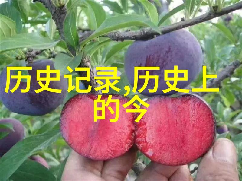 百祺酒庄酒知识