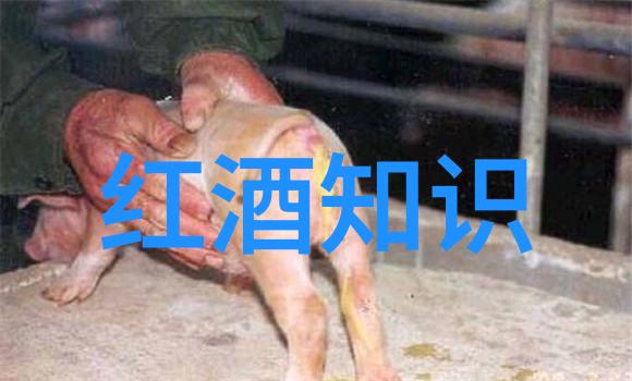 历史朝代歌古风时尚的旋律