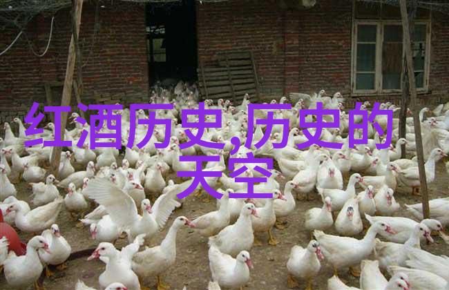 玉米种子最好的品种排行榜我来告诉你这些超棒的玉米宝贝