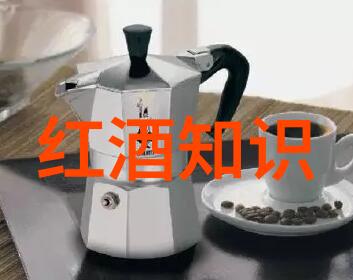 我的历史搜索记录揭秘我如何从爱情配方到猫咪穿衣大赛