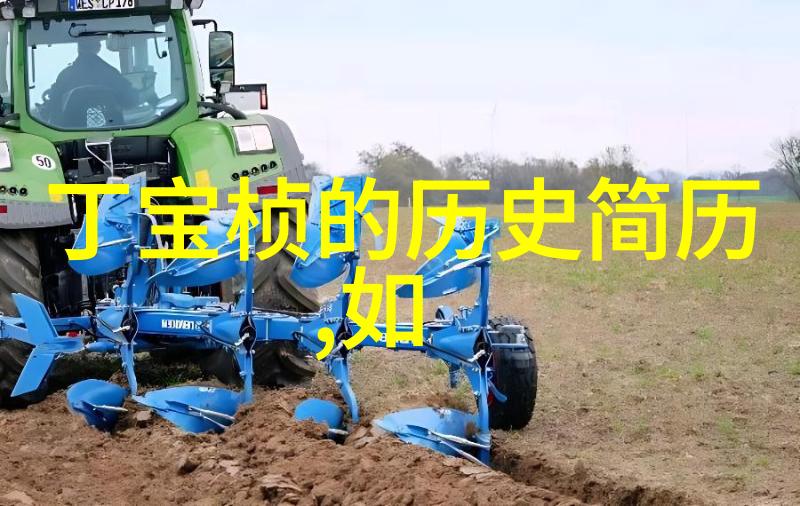 杨行村民居住宿推荐一次温馨接待让人难忘