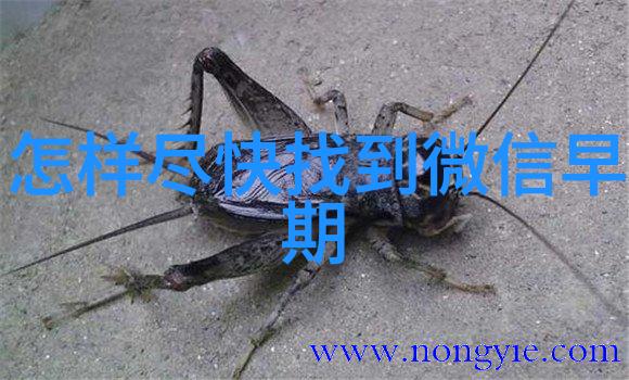 2016意大利葡萄酒界最有影响力的100位巨擘第35位至第31位画出他们的帅气与智慧