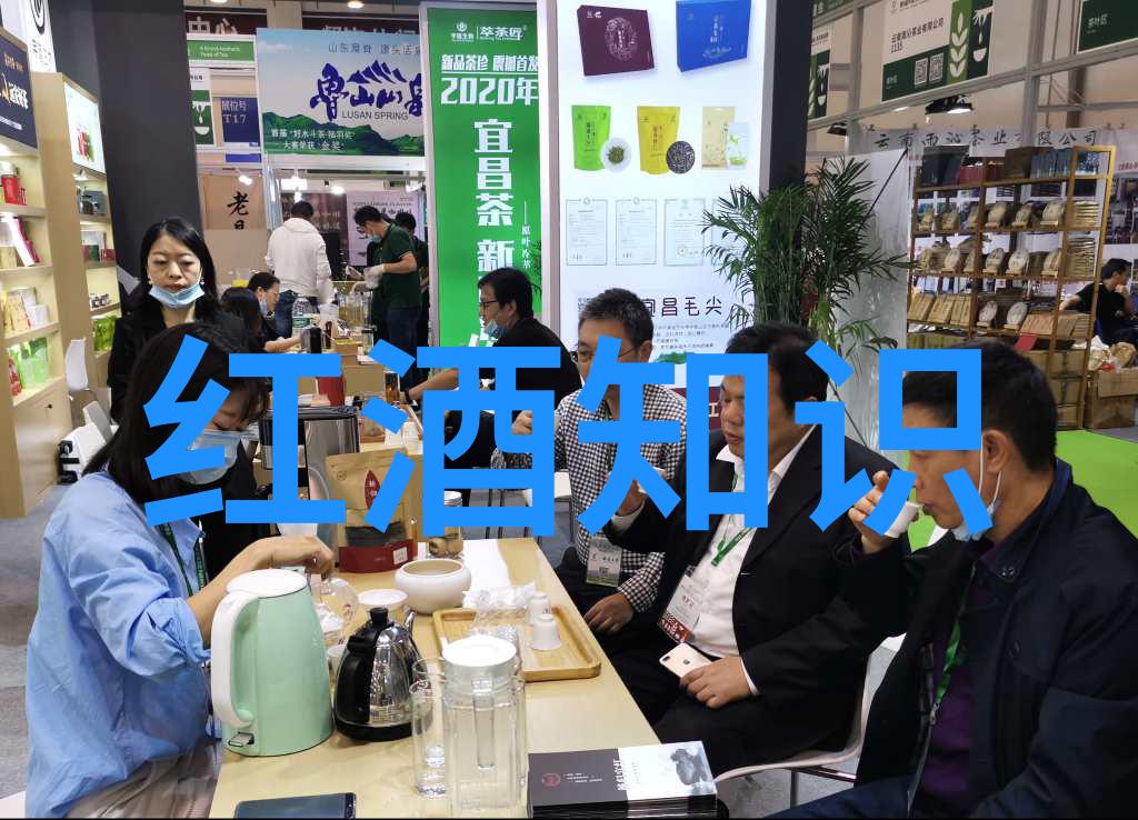 猫的品种有哪些西拉在想象中轻声询问仿佛身处一个充满各种神奇猫咪的世界