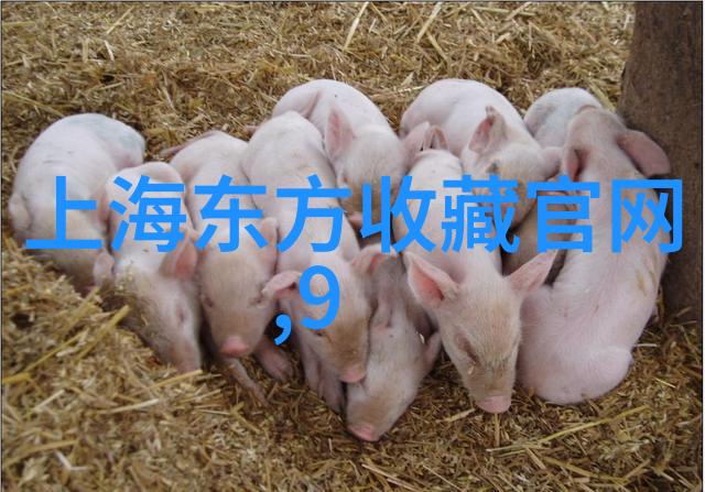 condasavel红酒品一瓶让我们一起醉心于这场葡萄之恋