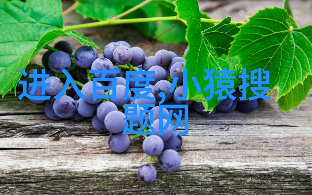 探索往昔的晴雨历史天气记录的故事与意义
