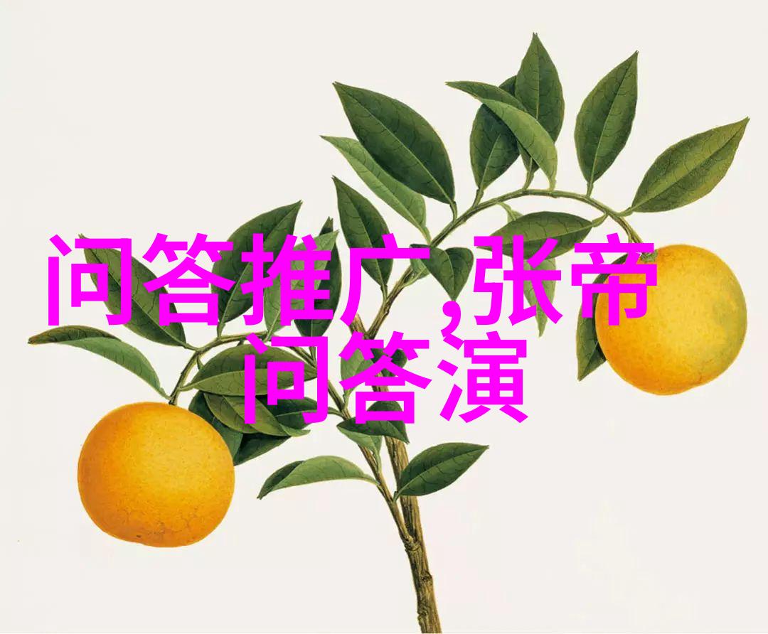 AI问答系统解锁信息检索的未来