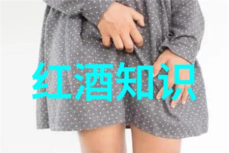 红酒文化的诗意绘画醉心于葡萄园里的美好时光
