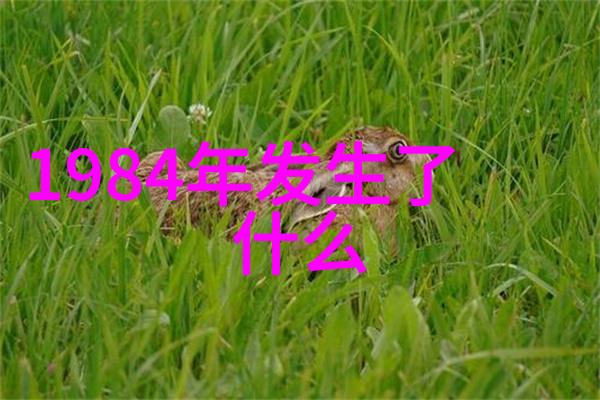 问答题库网站登录-安全验证保护用户账户的重要一环