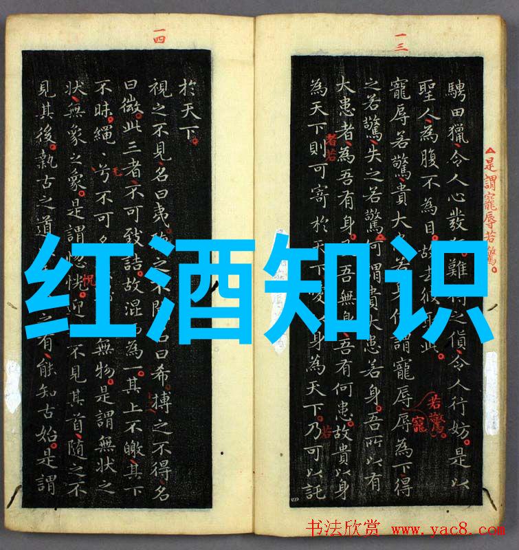 指数基金投资指南-精准估值揭秘指数基金的价值增长秘密